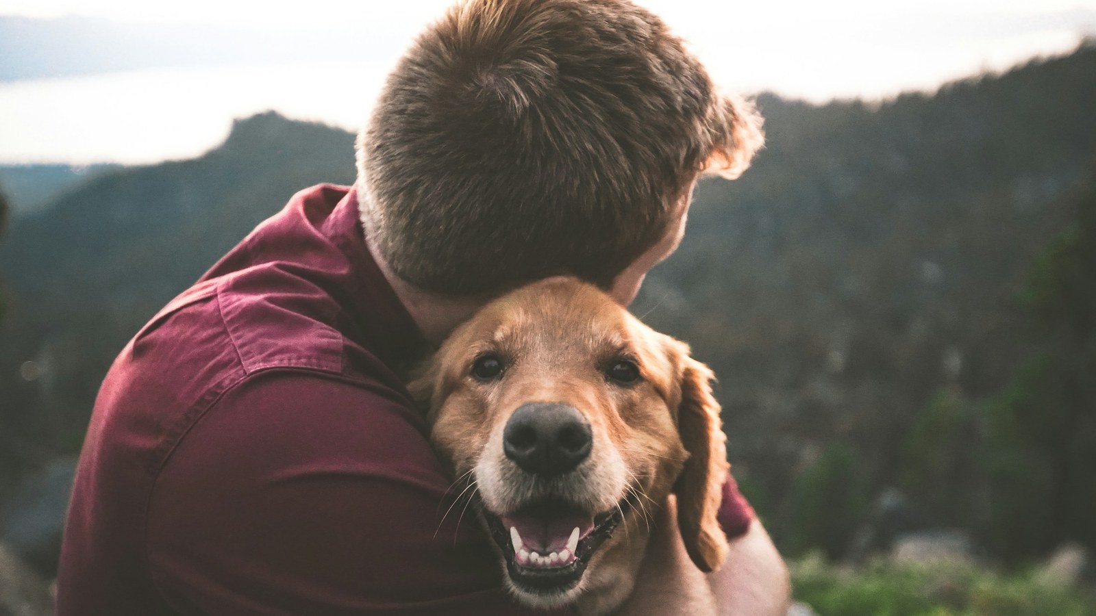 Person calmly hugging a dog outdoors
