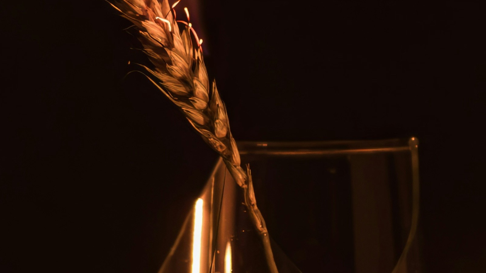 Warm memorial candlelight for a celebration of life song